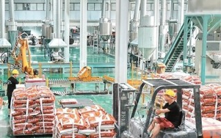 工业经济运行“向稳、向新、向优”