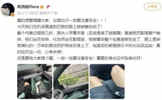 歌手戴燕妮在巴黎被破窗抢劫 副驾腿部被碎玻璃划伤