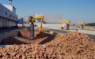 丰收季·小红薯“链”出大产业，全产业链促进企业高质量发展