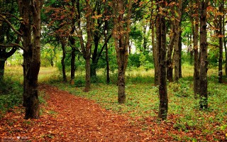 谭元寿遗体告别仪式在京举行 各界人士前来悼念