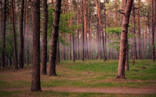 夏之光钟丽丽恋情是什么情况 夏之光钟丽丽是谁个人资料介绍