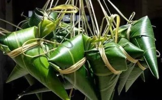包粽子的“粽叶”是什么植物的叶片？