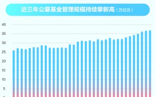 2025公募高质量发展迎新篇 行业臻繁茂权益强修复