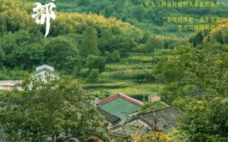 《云边有个小卖部》刘十三王莺莺以及程霜等人物性格介绍