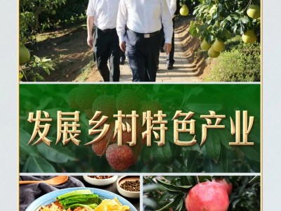 习言道｜从荔枝园到柚子园，习近平不变的牵挂
