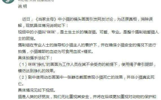 于正新剧《当家主母》陷虐猫风波怎么回事 剧组回应