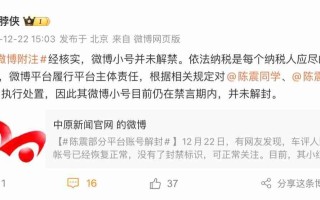 微博回应“陈震部分平台账号解封”：经核实，其“小号”并未解禁