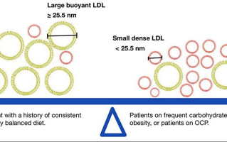 科学还是谎言：蛋黄和心脏病 精选
