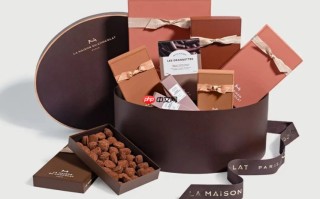 《幻兽帕鲁》开发者致致谢V社赠送巧克力 没想到多个工作室也有