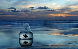 萧亚轩自曝与男友近一年争吵频繁 曾多次想要分手