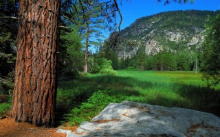 章子怡产后复出被批状态差 港媒给取绰号“寿星公”