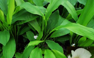 20240822——土田七