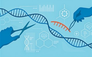 基因编辑：改写生命密码的“神笔”