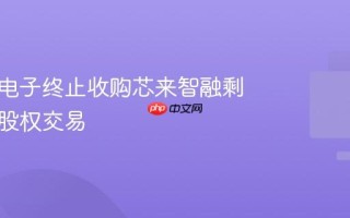 芯原微电子终止收购芯来智融剩余全部股权交易