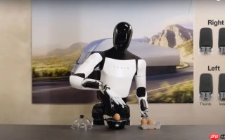 造人形机器人的公司自己先泼冷水：行业存在过度炒作现象