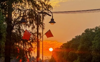 国庆节日里的“国旗红”植物！