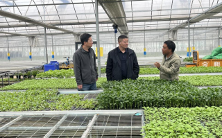 河南省科协驻村工作队赴焦作考察特色农业产业