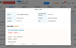 万达集团成被执行人 执行标的3亿余元
