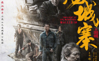 5月14日票房3369万 《九龙城寨之围城》累计4.8亿超《维和防暴队》