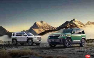 方盒子车型该买哪款？先看看这份11月国内销量榜单