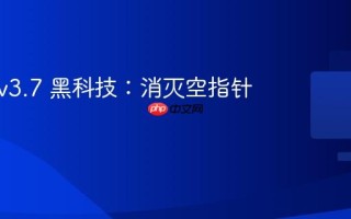 Solon v3.7 黑科技：消灭空指针异常！