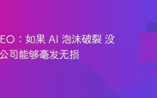 谷歌 CEO：如果 AI 泡沫破裂 没有一家公司能够毫发无损