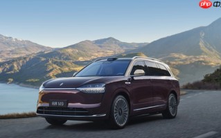 鸿蒙智行创中国新势力最快百万交付纪录，问界M9贡献超四分之一销量