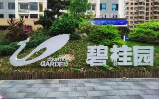 碧桂园董事自愿减薪同时取消高管配车，房企承压开源节流老总带头