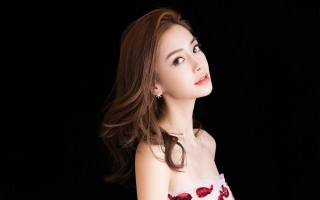 八部门二十一项举措支持加快西部陆海新通道建设