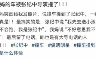 张纪中开车送娃上学撞车：我是张纪中，我不会跑
