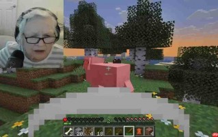 《我的世界》直播老奶奶爆火 游戏中狂怒附体观众惊叹