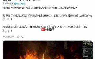 音乐博士用萨克斯无伤通关《黑暗之魂》三部曲