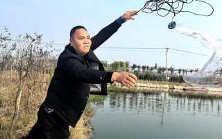 47.6%农村人口外流，武汉如何激活空心村闲置资源？｜一线调查