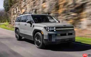 韩国进口电动汽车市场爆发式增长 电动化占比突破八成