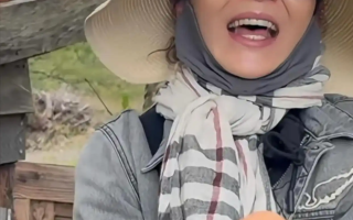 张曼玉分享法国农村生活日常：养鸡种地 捡鸡蛋