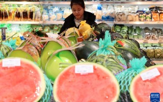 CPI同比涨幅扩大 核心CPI继续上涨――透视11月物价数据