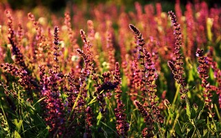 曹骏加上了尔冬升微信 尔冬升：要主动出击好好努力