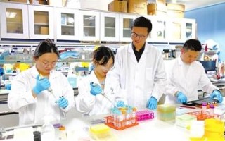 教育驱动 “湾”象更新——教育服务粤港澳大湾区建设纪实