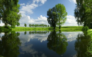 冯绍峰评论区为赵丽颖送生日祝福 留言瞬间被淹没