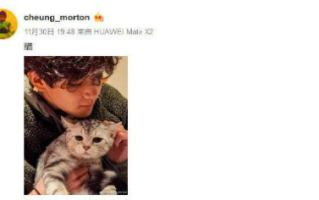 张智霖袁咏仪儿子魔童开通微博后首发文 抱猫晒侧颜照