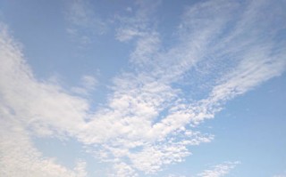 《师兄请按剧本来》电视剧真人谁演的 是动漫改编的吗