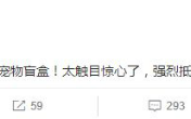 张馨予发文抵制宠物盲盒：太触目惊心了 强烈抵制
