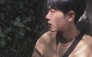 七年，把《生命树》种到创作的无人区