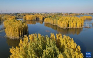 河北隆尧：初冬泜河风光秀美