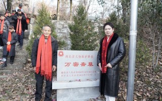 万百万传承先祖万密斋医学遗产，让“中华养生第一人”福泽当代