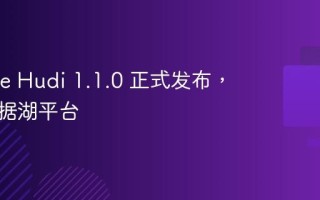 Apache Hudi 1.1.0 正式发布，开源数据湖平台