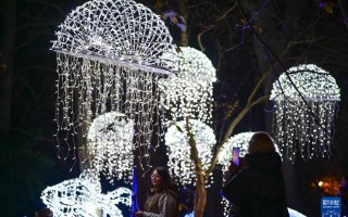 波兰华沙：“魔法植物园”灯光展开幕