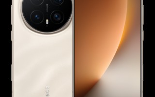 疑似荣耀Magic8 Mini配置曝光：天玑9500+6.31英寸屏