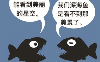 现存最大鱼类竟是“温柔巨人”