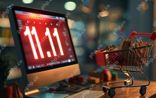 双11价格迷局：预售价竟比直接买更贵？“算法杀熟”再引争议